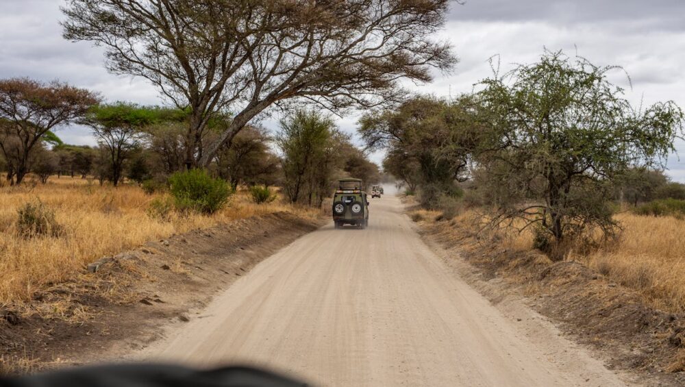 6 DAYS MAGICAL KENYA EXPERIENCE