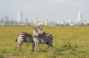 NAIROBI & MOMBASA PACKAGE