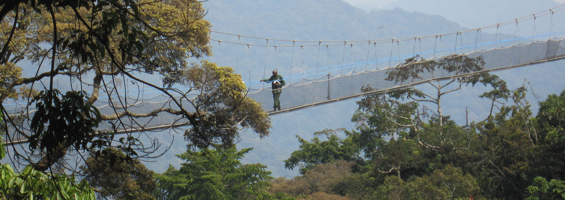 Nyungwe National Park | Rwanda