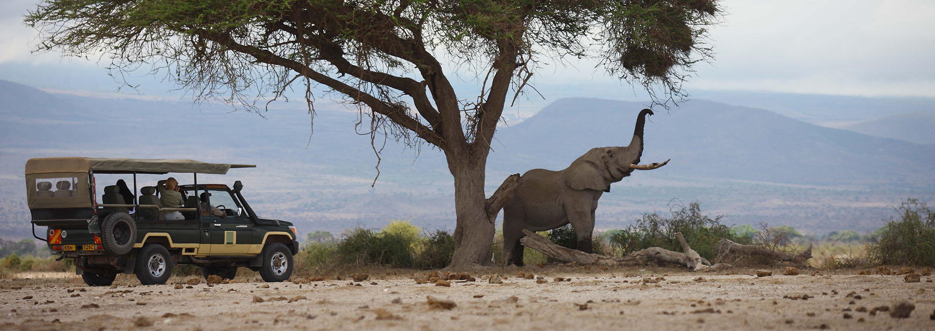 Amboseli National Park