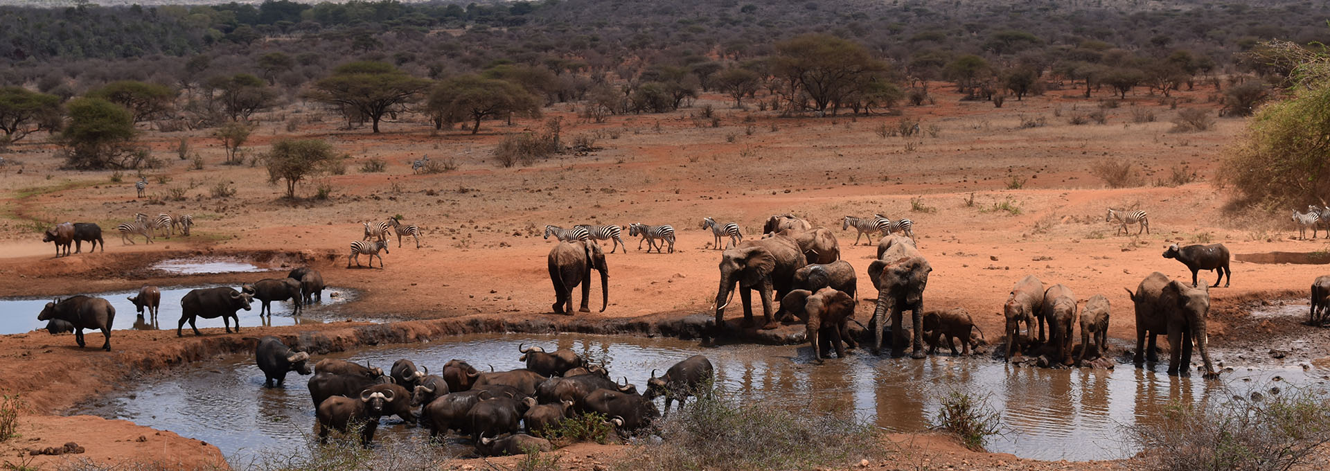 Tsavo West National Park