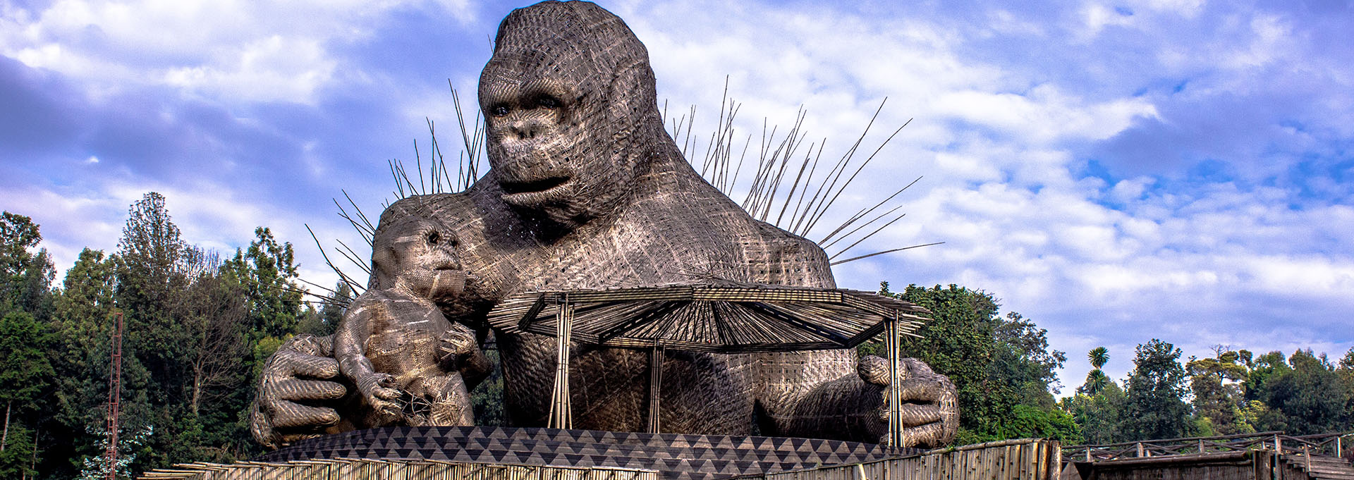 Rwanda | Mountain Gorilla