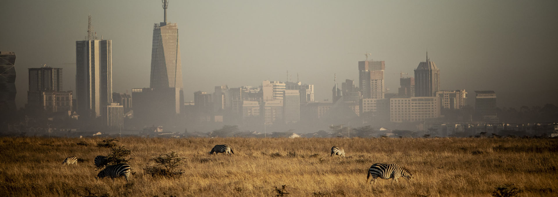 Nairobi National Park | Kenya