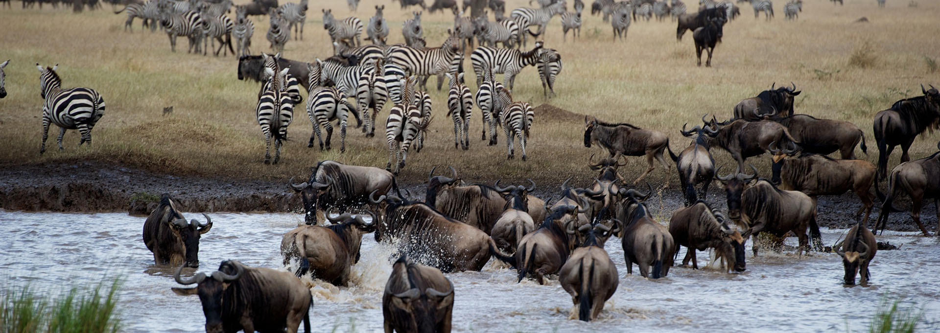 Masai Mara National Reserve