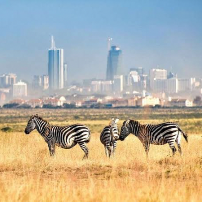 Nairobi National Park