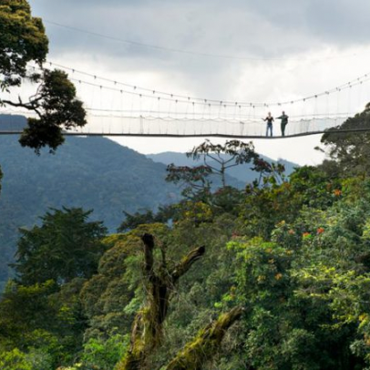 Nyungwe National Park