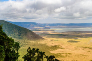 6-DAY TANZANIA SAFARIS